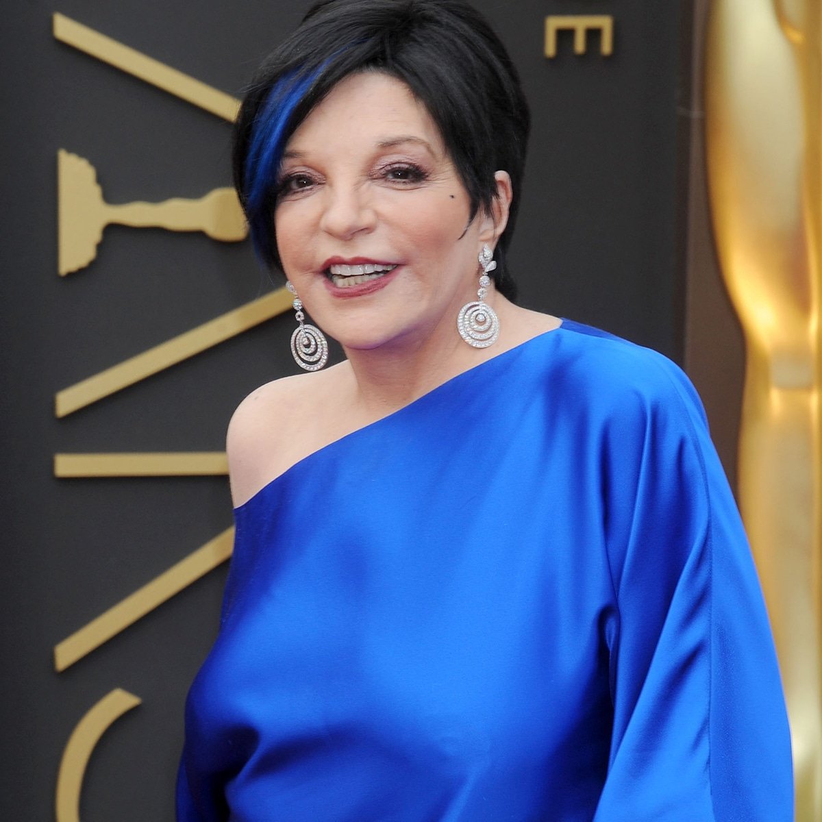 Liza Minnelli Is Grateful to Be Alive Amid Substance Use Disorder Journey