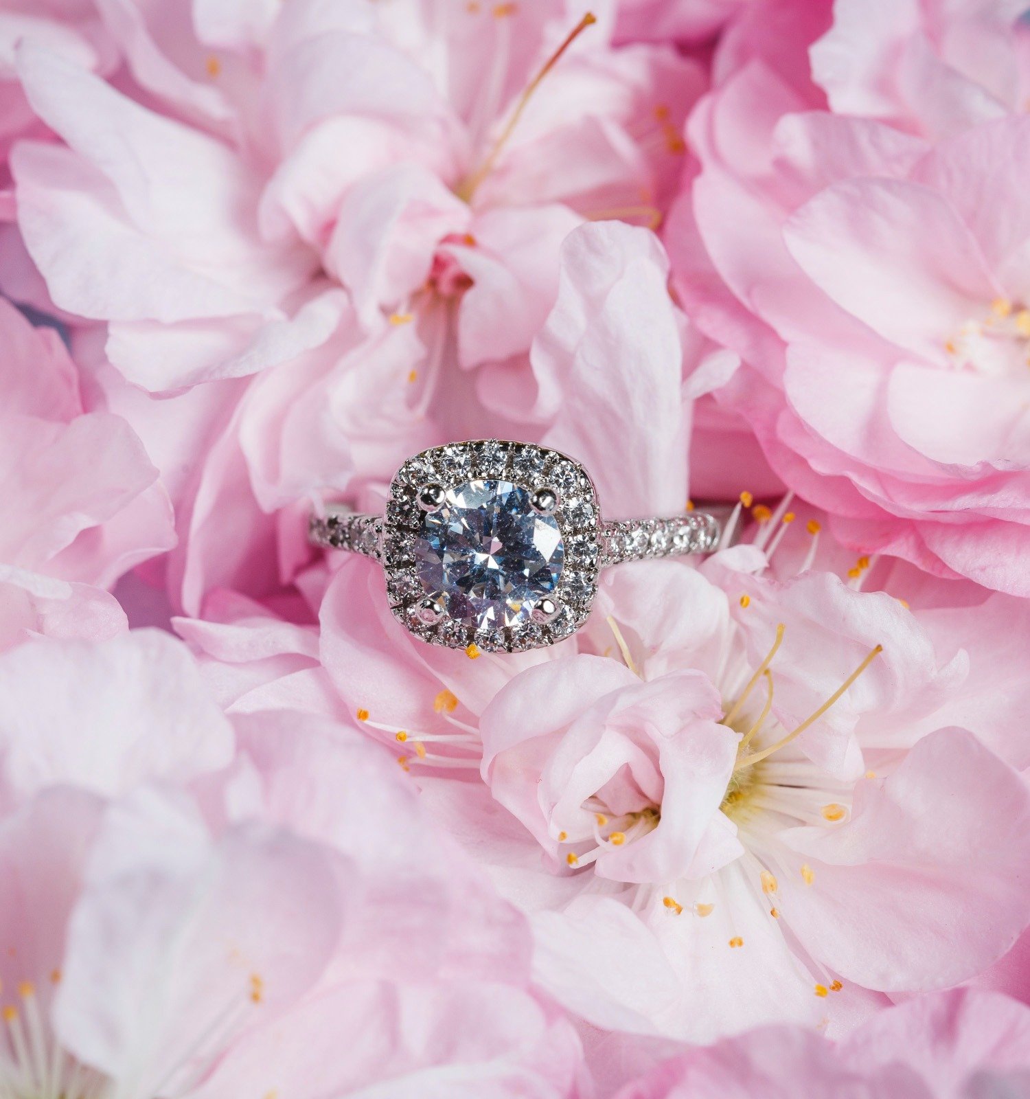 The Platinum Shift in Fine Jewelry: What Olertis Is Seeing for 2026 and Beyond The Platinum Shift in Fine Jewelry: What Olertis Is Seeing for 2026 and Beyond